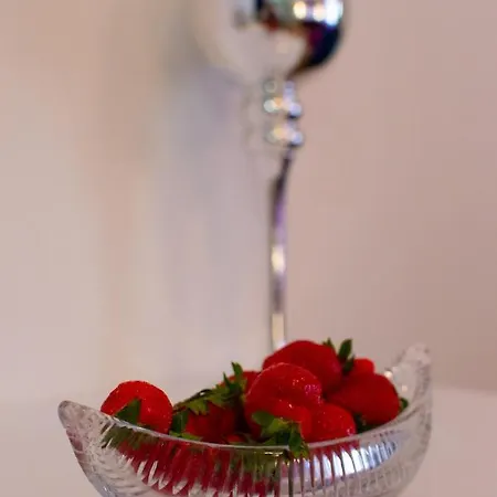 Center Luxury 1 4* Split